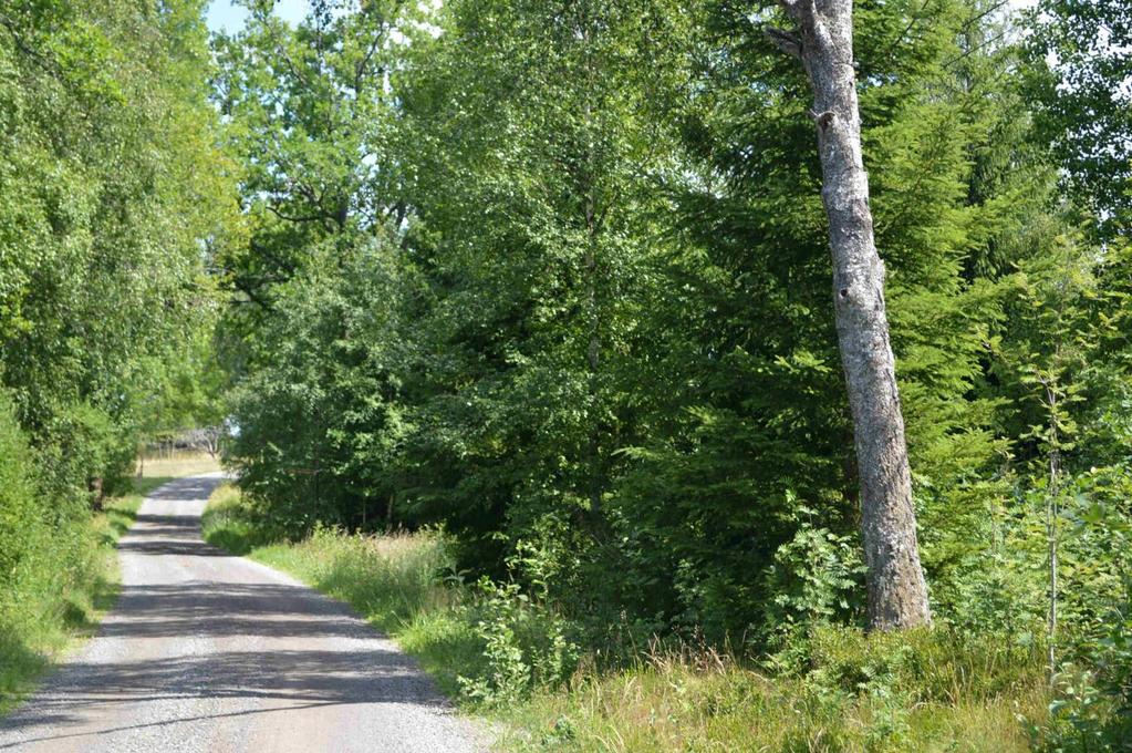 Försäljningssätt Förfarande Egendomen säljs via anbud som ska vara mäklaren tillhanda senast 2018-09-27. Märk anbudet Hultåkra, till detta skall bankreferens eller motsvarande lämnas.