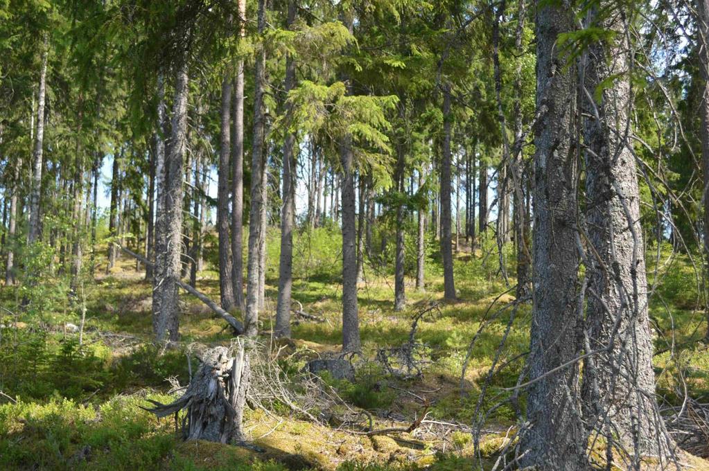 Tillträde Tillträde enligt överenskommelse med säljaren. Förvärvstillstånd Förvärvstillstånd krävs ej för person som varit bosatt minst ett år inom Uppvidinge kommun.