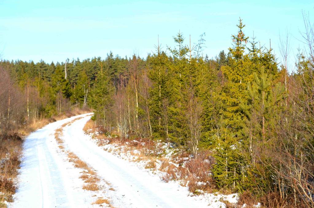 Skogsmark ca 40,5 ha med virkesförråd om ca 2 800 m3sk och impediment ca 20,4 ha. Bonitet ca 6,4 m3sk/ha och år.