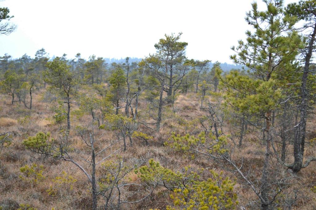 Förvärvstillstånd Förvärvstillstånd krävs inte för person. För juridisk person, t.ex.