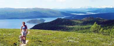 Ryfjället En rejäl topptur! Det 1 413 meter höga fjället, på samiska Ryjvejegaejsie, har med sin karaktäristiska profil höjd över sjön Gäutan blivit en symbol för Tärnaby.