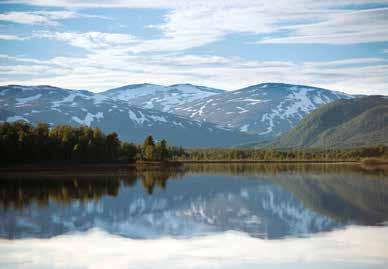 PROTECT MOTHER NATURE! According to the Right of Public Access you are allowed to walk anywhere in the mountains.