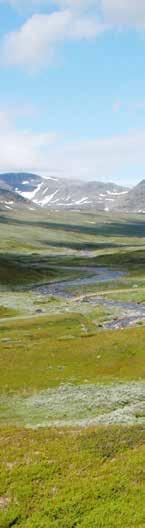 Vindelfjällens Naturreservat Med sina 560 000 hektar varierad natur är Vindelfjällens naturreservat ett av de största skyddade områdena i Europa.