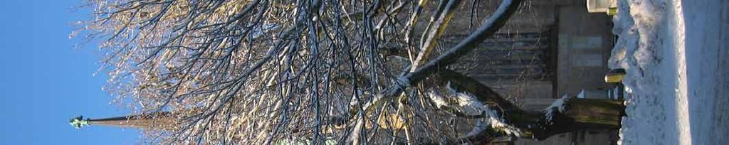 Upplysningar: stiftsadjunkt Karin Enerbäck, 0511-262 46, karin.enerback@svenskakyrkan.se Anmäl dig via Skara stifts webbplats www.skarastift.se. Där finns ett klickbart anmälningsformulär vid respektive kurs.
