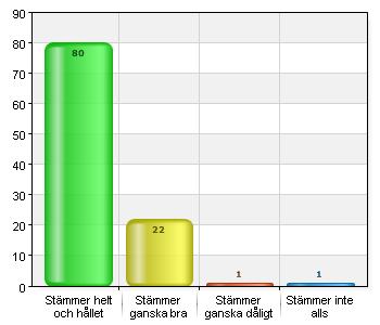 Jag har oftast något att göra på rasterna.