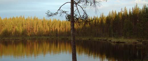 Kommentarer Med den uppläggning som spillningsräkningen har i detta område bör metoden främst användas som ett index, motsvarande Älgobs och liknande metoder.