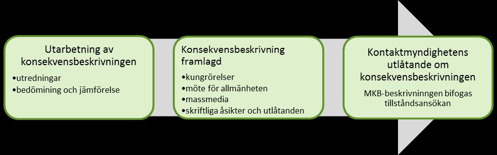1 MKB-program Bedömningsprogrammet är en utredning av projektområdets nuvarande tillstånd och en plan över vilka konsekvenser som utreds och på vilket sätt utredningarna görs.