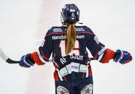 Storlagen LHC och Luleå fick ny konkurrens i form av Djurgården och HV71 som vann SM-guld respektive silver.