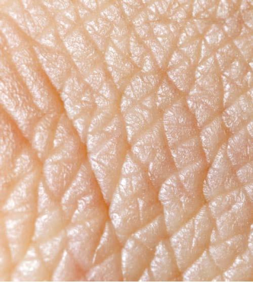 hudtjockleken Framskyndar hudförnyelsen genom framställning av nya celler Ökar