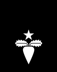 gräsytor i