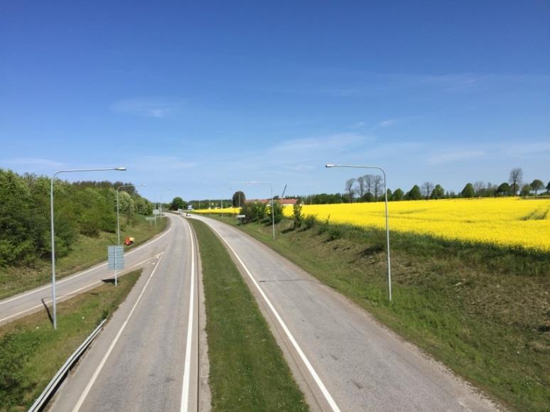 6.1 Arlöv De ytor som vi föreslår att karaktären på gräsytan ändras i Arlöv är: Lundavägen - Längs Lundavägens östra sida som löper mellan Arlöv och Åkarp finns en allé.