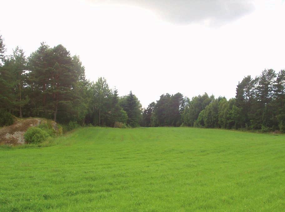 5 Lokala förhållanden I följande kapitel beskrivs lokala förhållanden för huvudalternativets lokalisering av reningsverket och utsläppspunkten, samt för de redovisade alternativa lokaliseringarna i