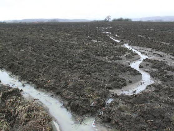 Växtnäringsförluster Erosion Uteblivna