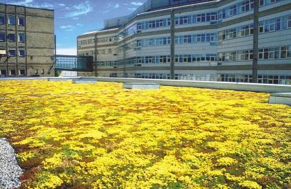 Takvegetation Det finns många exempel på hur det med hjälp av modern teknologi är möjligt att använda gamla, beprövade byggtekniker i dagens avancerade byggande.