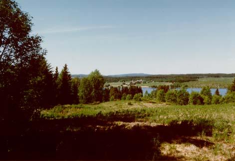 Alanäs, Fjällsjö, Ström, Tåsjö, Bodum Den här delen av kommunen karaktäriseras av ett skogslandskap med kullar och lågfjällsområden.