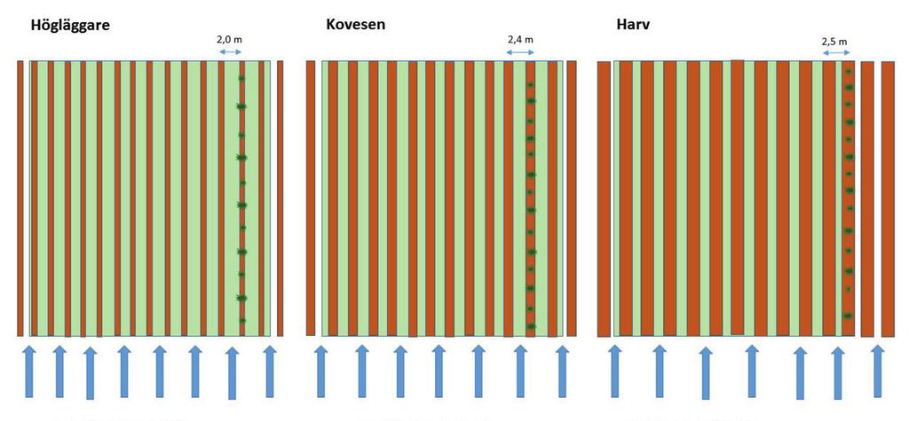 Högläggare Kovesen Harv 2,0 m 2,4 m 2,5 m 14 rader med 11 plantor 12 rader med 14 plantor 12 rader med 14 plantor Figur 1.