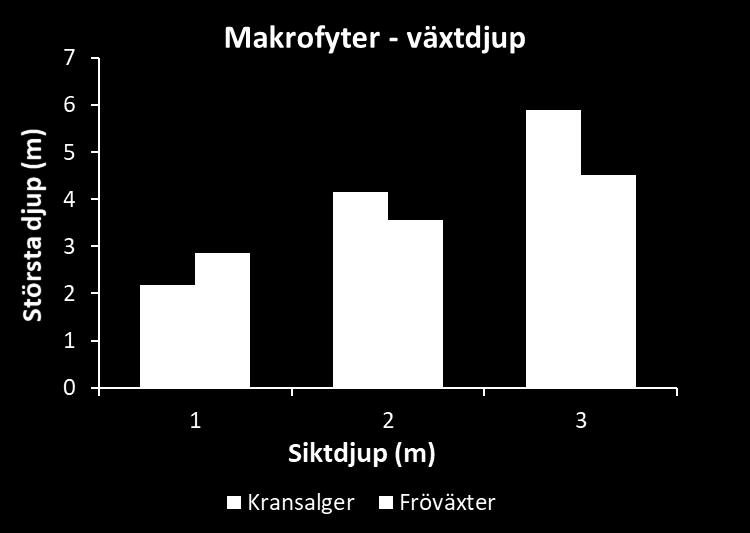 undervattensväxter, har Ringsjöns vattenråd en förhoppning om att man borde kunna minska omfattningen av reduktionsfisket, att gå in i ett så kallat underhållsfiske.