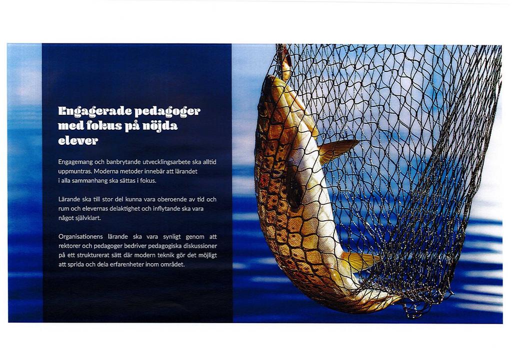Engagerade pedagoger med fokus på nöjda elever Engagemang och banbrytande utvecklingsarbete ska alltid uppmuntras. Moderna metoder innebär att lärandet i alla sammanhang ska sättas i fokus.
