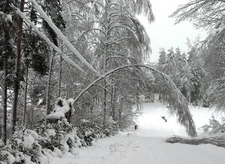 frusit ihjäl runt om i Sverige. 1918 bild: Olovsson Titti Om meteorologerna har rätt i sina prognoser blir vintern 2018 lång och kall. 2018 U.