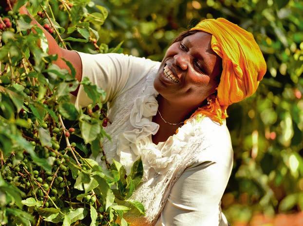 OM FAIRTRADE Elizabeth Chepkwony, kaffeodlare i Kenya.