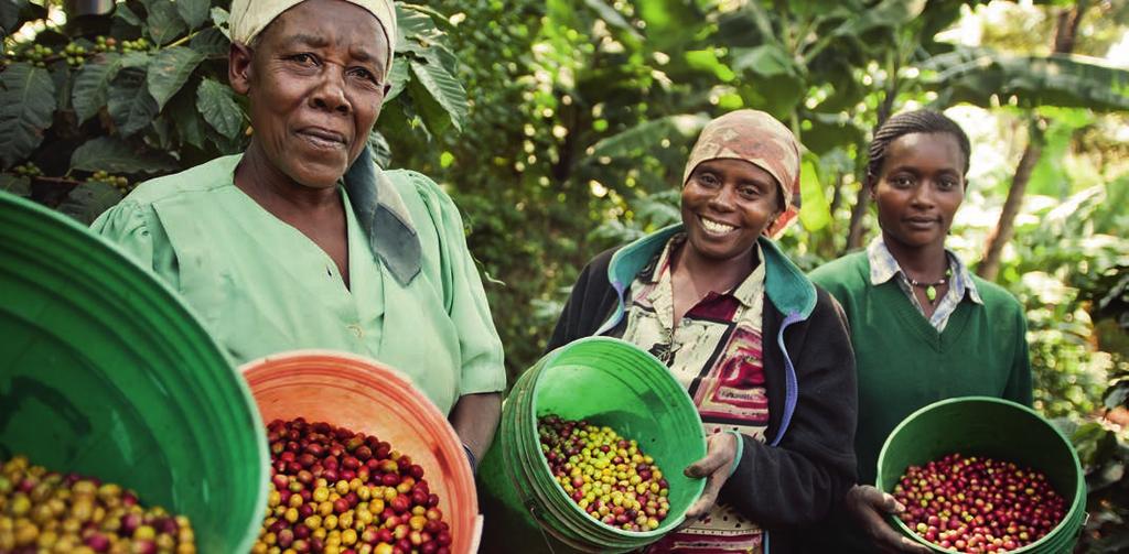 FAIRTRADE INTERNATIONELLT 2016 inleddes en ny femårig strategiperiod där Fairtrades arbete framöver kommer att gå hand i hand med flera av målen i Agenda 2030.