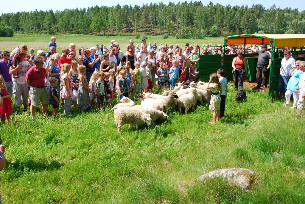 14 Föreningsstämma Ordinarie stämma skall årligen hållas under perioden 1 april till 15 maj, på tid och plats som styrelsen bestämmer.