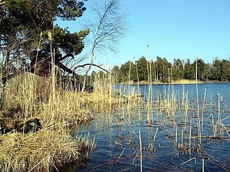 8. Fjättersjön, Norsbol Datum: 2005-04-25 Flodområde: 62/63 Bäck från Älvvikssjön Koordinat: 6535050/1619800 N X X X X X Foto Runt udden.