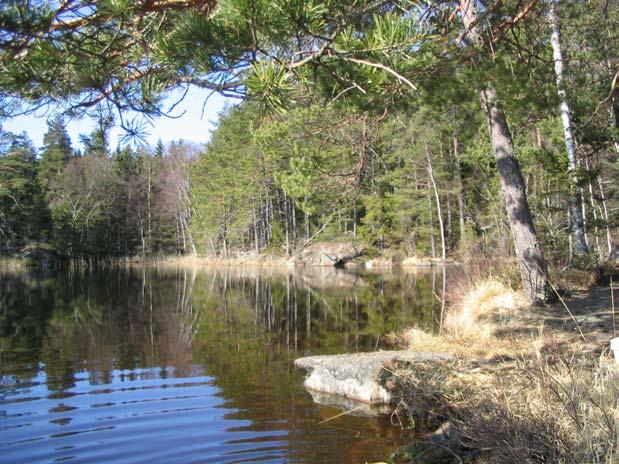 Bottenfauna i Stockholms län 2005 En undersökning av