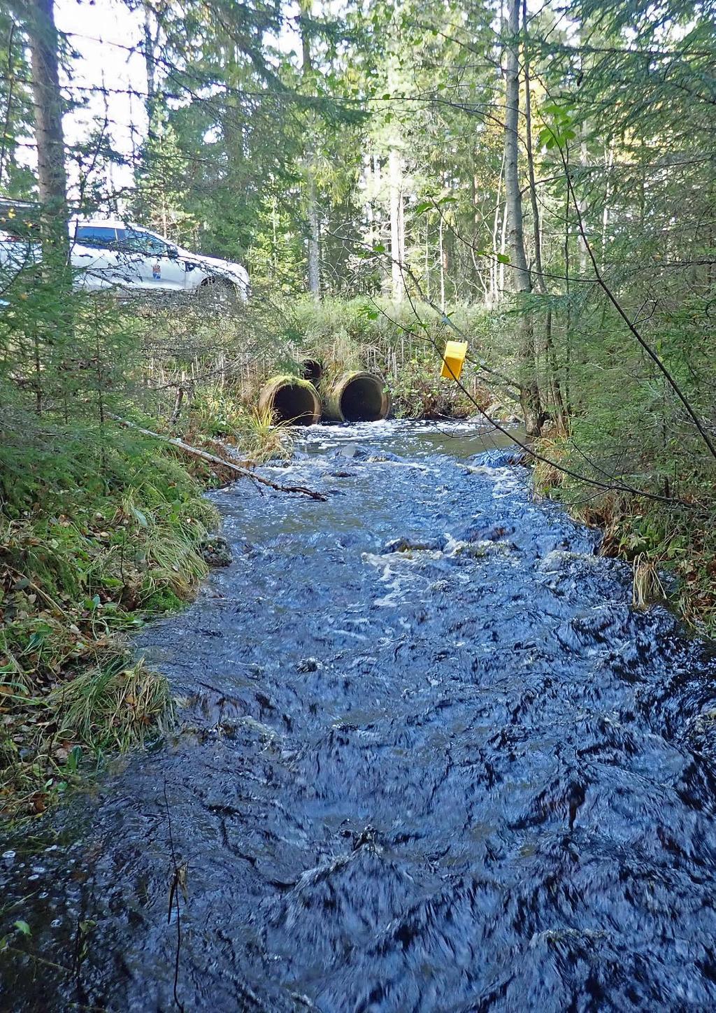 Bottenfauna från sex sjöar och sju vattendrag i