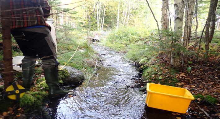 Bottenfauna i Örebro län 2017 Vattensystem: Vattendrag/namn: Provpunktsbeteckning: GÖTA ÄLV Koängsbäcken ÖRE-Koängsbäcke Provdatum: Lokaltyp: Bäck 2017-09-21 Naturligt/grävt: naturligt Koordinater x: