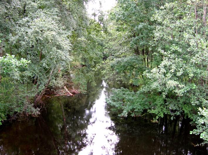 Sträcka 2. Mölndalsån Beskrivning biotop Lugnflytande och skuggig sträcka uppströms Rådasjön med en närmiljö av industrimark och lövskog.