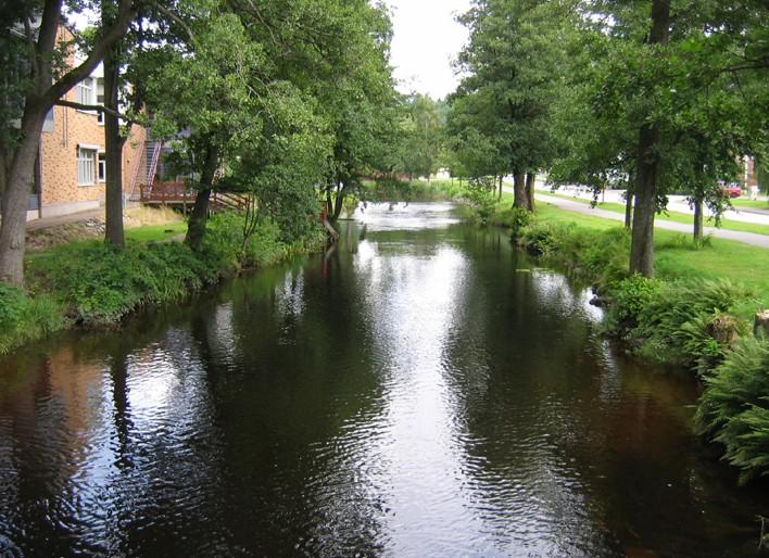 Mölndalsån vid sträcka 3. Sträcka 3 är belägen i anslutning till Mölnlycke centrum.