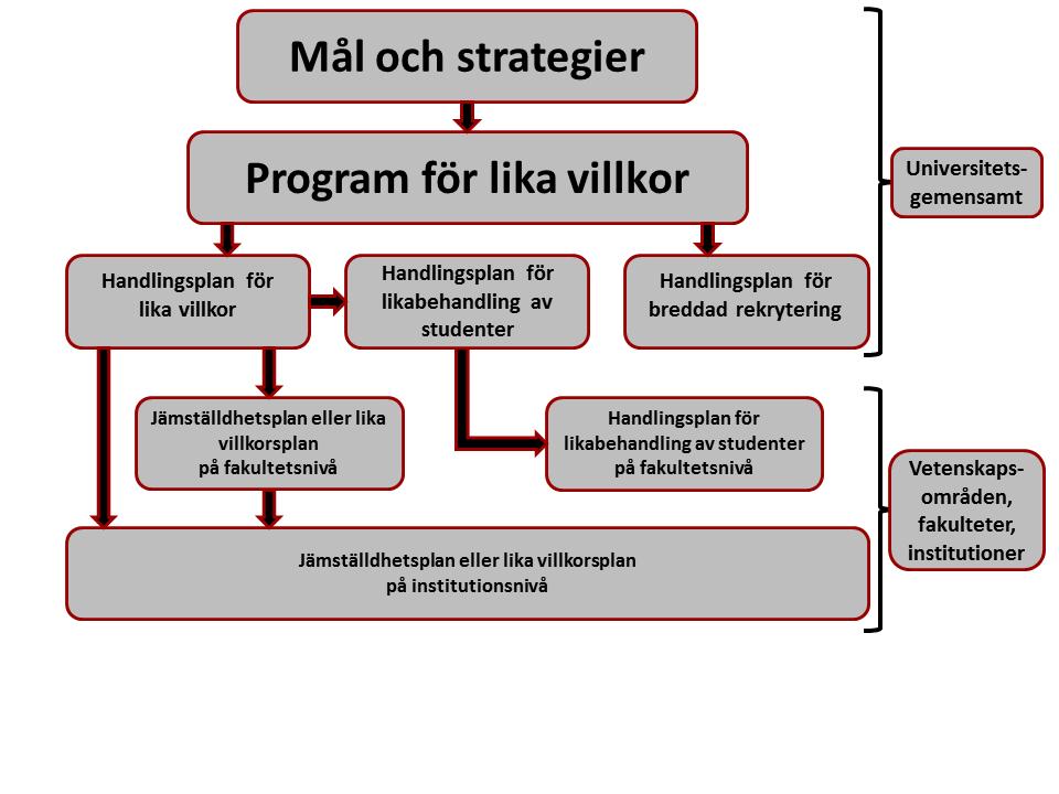 1 Inledning Lika villkor på Uppsala universitet Universitetets arbete med lika villkor utgår från Diskrimineringslagen.