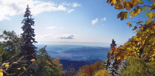 Balneo Balneo ROMÂNIA 57 România este o ţară bogată în zone cu ape termale, izvoare minerale şi aer cu calităţi curative unde turiştii de toate vârstele pot veni pentru tratament, relaxare sau odihnă.