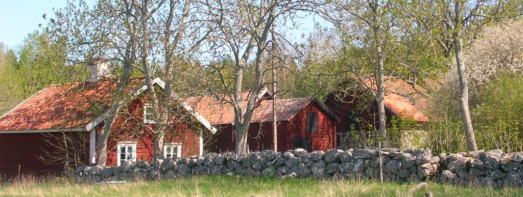 Friluftsliv Till fritidslivet räknas även friluftslivet. Här har Kungsör goda förutsättningar med en fantastisk natur, närheten till Mälaren och fina leder för cykling, vandring, löpning och ridning.