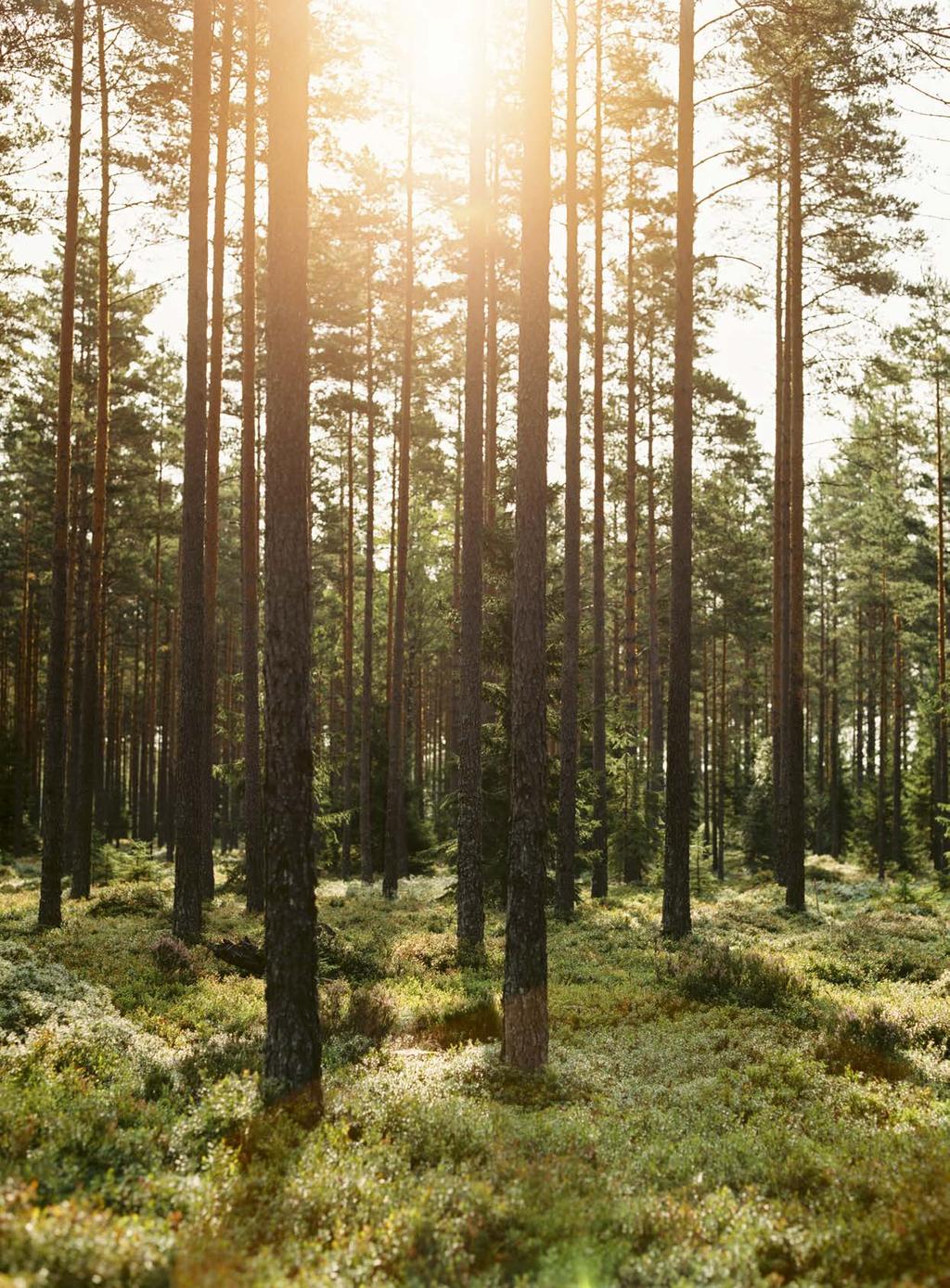 Från vårt hem till ditt. Ända sedan Swedese grundades har vår drivkraft varit att hitta kreativa lösningar. God form gör inte bara livet skönare utan också mer intressant.