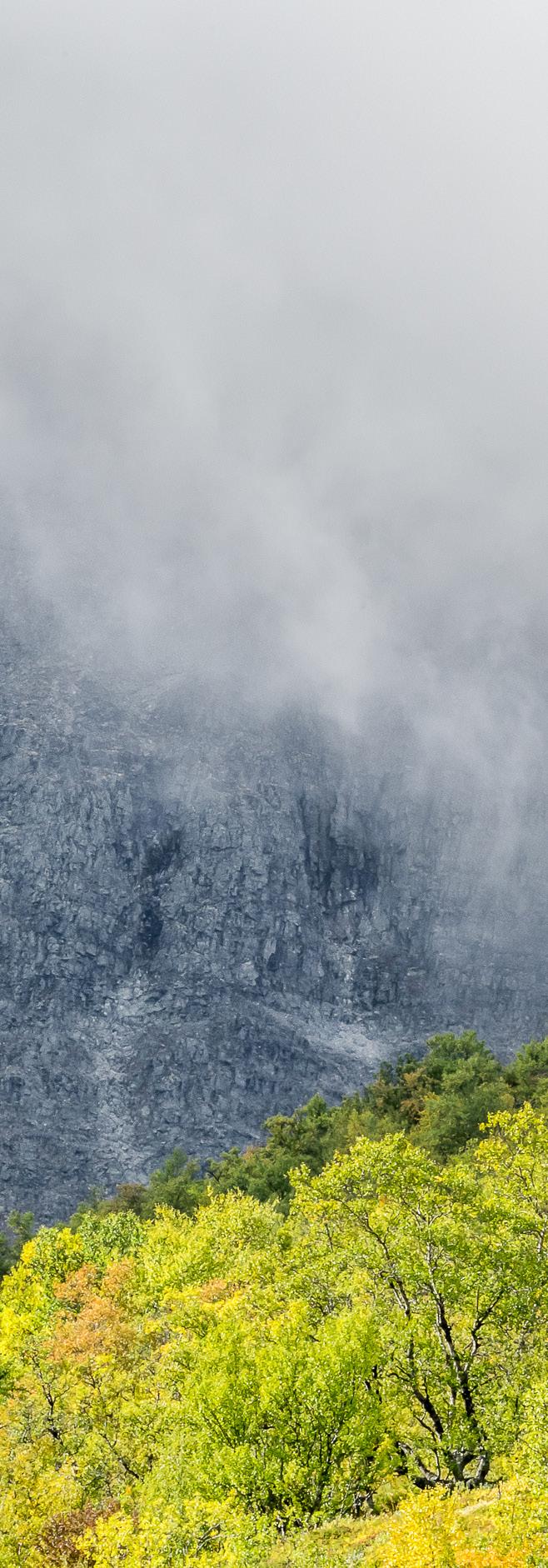 Väder & klimat Vädret i Rondane och Dovrefjell i september kan vara mycket varierande och nyckfullt. En dag kan vara skapligt varm medan det en annan dag blåser upp till storm, regn och kyla.