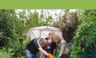 ympäristö 763; Osa 2, Maitohuonejätevesien käsittely (Behandling av avloppsvatten från mjölkrum) Vilpas, R. & Santala, E.