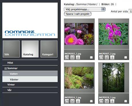 BLÄDDRA BLAND FILER Här ser du fönstret för fil-/bildvisning. I menyn till vänster är bildkatalogen Växter markerad. Denna är en underkatalog till Sommar. Alla filer ligger i kataloger.