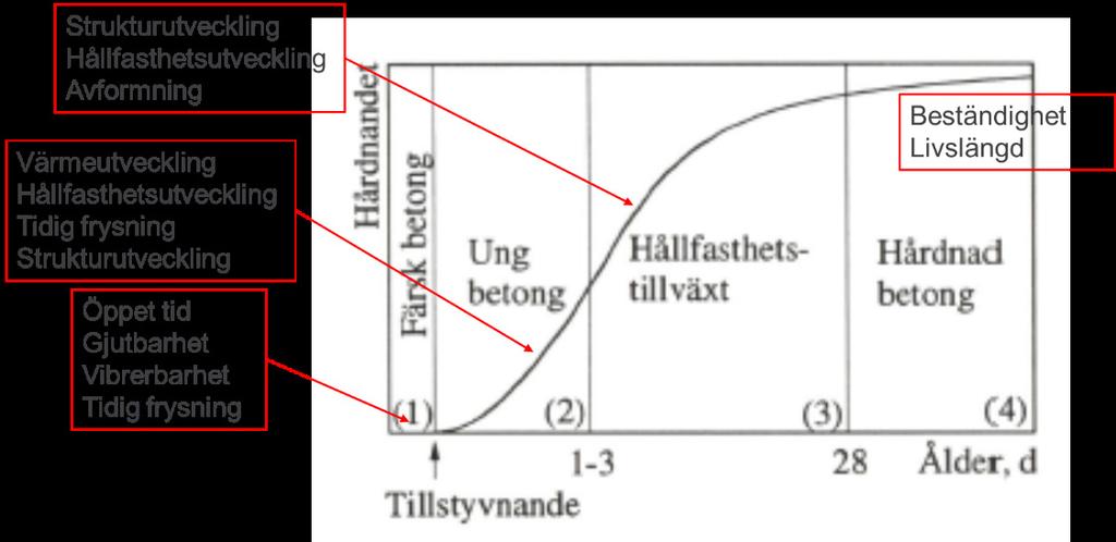 Figur 9: Olika faser under betongens hårdnande. Grundfiguren är ur (Betonghandbok Material, 1994). I det färska tillståndet, 1, sker de kemiska reaktionerna relativt långsamt.