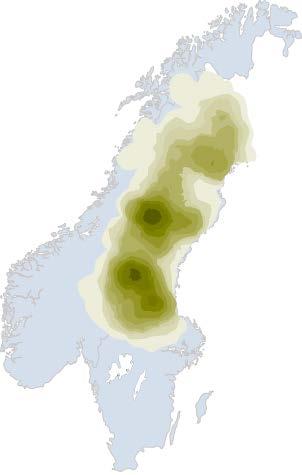 Figur 5. Björnens utbredning i Sverige och Norge. Kartan är baserad på insamlade spillningsprover vid olika inventeringar och visar tätheten av björn. Ju mörkare färg, desto högre täthet.