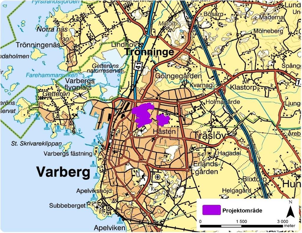 trädbevuxet och till stora delar sumpigt grönområde med äldre lövträd. De dominerande trädslagen är björk, klibbal och asp.