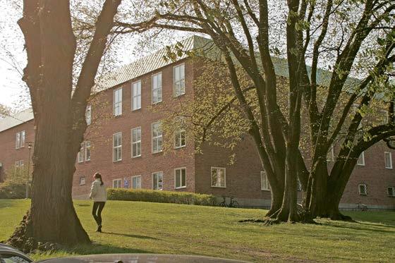 Johannebergsgatan utgör också gräns för den täta bostadsbebyggelsen som följer Lilienbergs stadsplan norr om gatan, och de friliggande utbildningsoch institutionsbyggnaderna söder om gatan.
