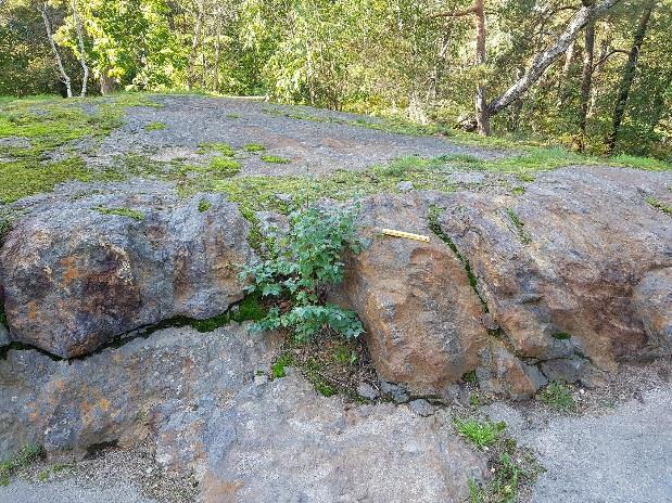 av sulfidförande gnejs (bl.a. svavelkis och magnetkis), se figur 6.