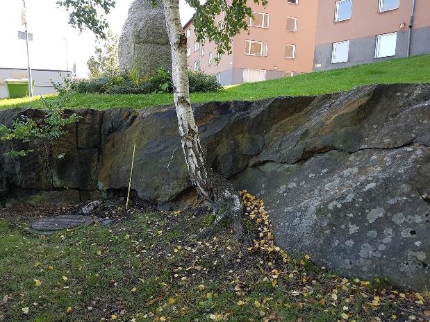 Fotografier av sedimentådergnejsen där den innehåller en hel del av rostig