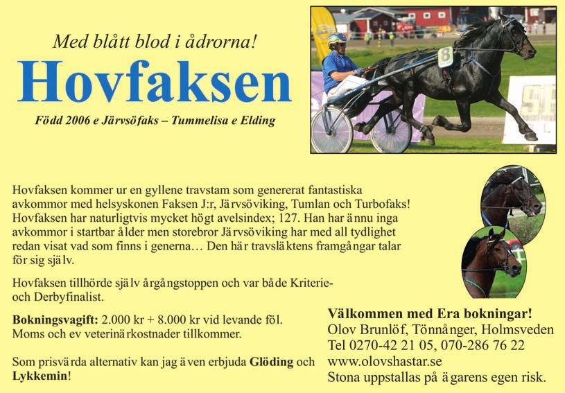 ULVSÅS ZICO 9 24,8 M 25,2 AK 26,5 AM 773.234 6,sv. h. e Moe Odin - 14: 7 0-0-0 25,2a 9.800 13: 20 2-3-1 26,5a 253.