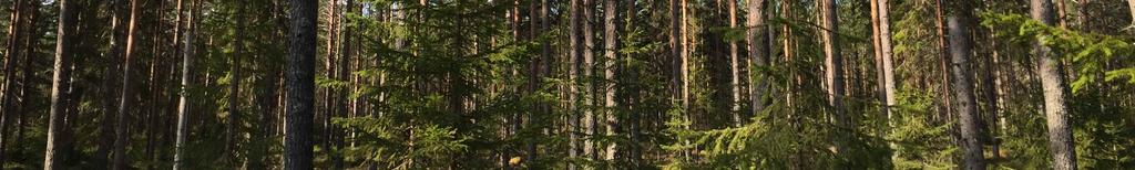 Skogsmark På fastigheten har det upprättats en skogsbruksplan i