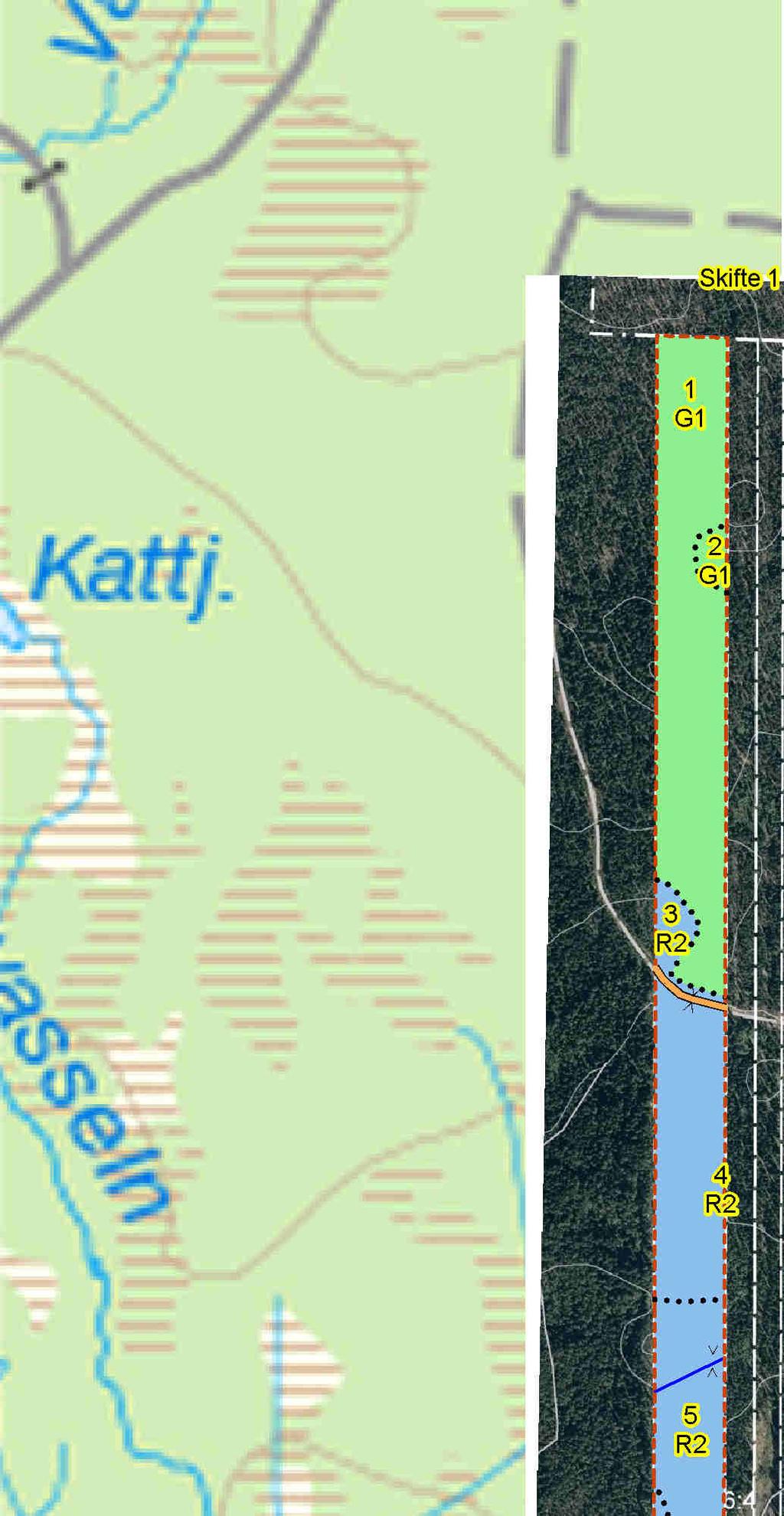 SKOGSKARTA Plan Skattungbyn