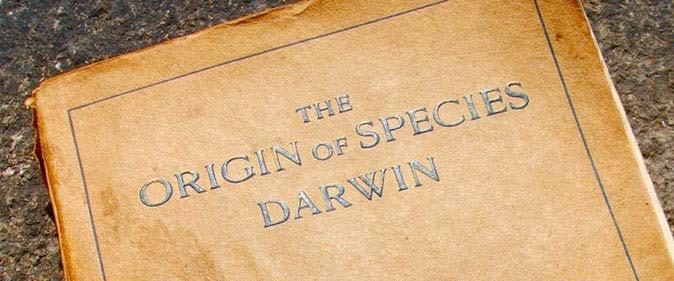 Darwins evolutionsteori Charles Darwin är berömd för sin teori om evolution genom naturligt urval.