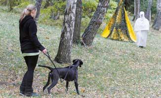 TEMA: hundsrasernas mentalitet se vad hunden kommer att nedärva och även väga in andra släktingars resultat än bara kullsyskonens. Min bild är att man är mycket duktiga på att mäta inom SBK!